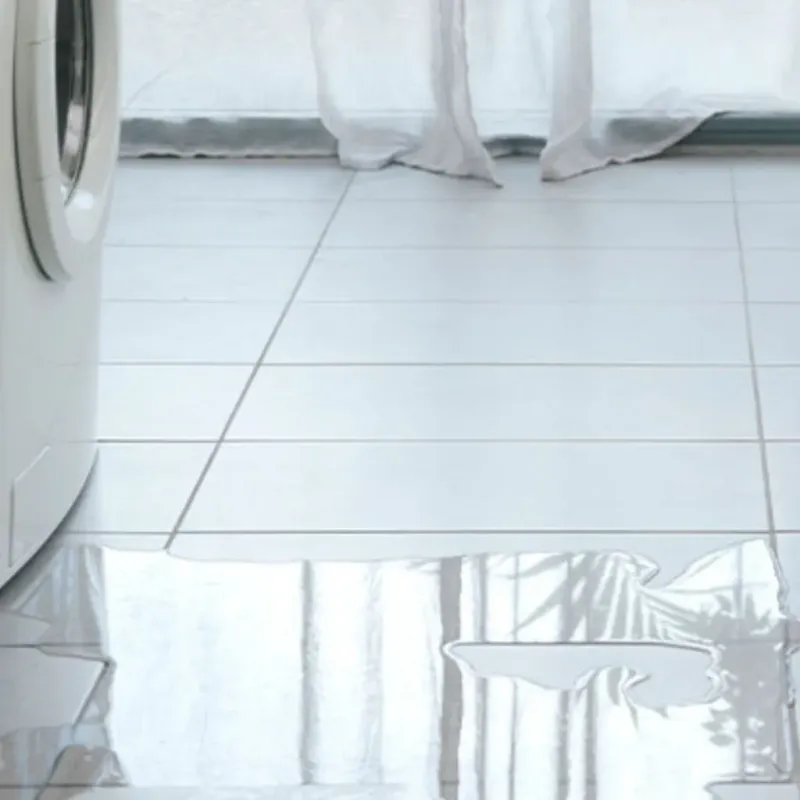 Appliance Leak Cleanup in Lawton, MI