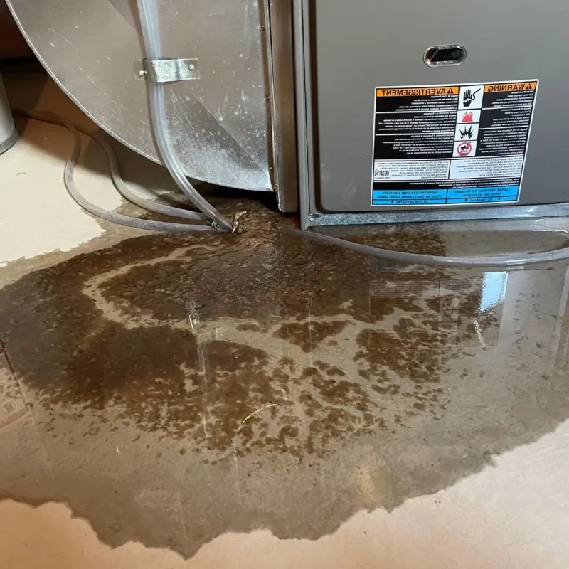 Pipe Burst and Leak Restoration in Lawton, MI