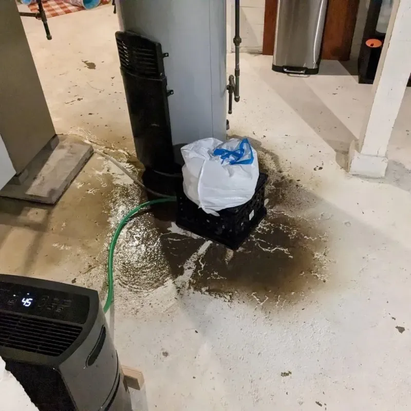 Sewage Backup Cleanup Service in Lawton, MI